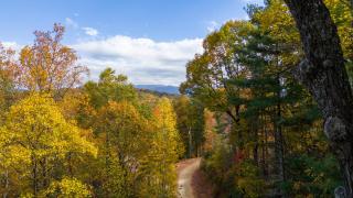 A Rustic Hideout - 1