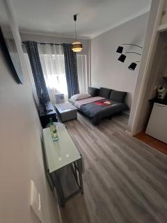 Completely renovated, 2 meters from public transport - 5