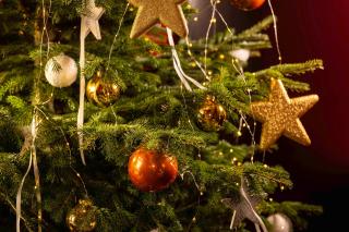 Hotel D - Strasbourg - 6