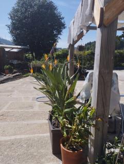 3HOUSE Sol na Eira - 7