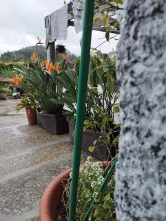 3HOUSE Sol na Eira - 5