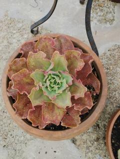 3HOUSE Sol na Eira - 4