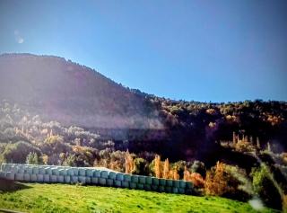Charming rural retreat in the Pyrenees - 8