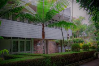 Palm Grove Bandarawela - 7