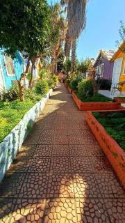 Bali beach pansiyon - 7