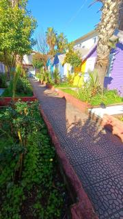 Bali beach pansiyon - 4