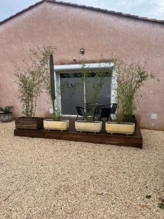 Suite romantique La Maison de Flora SPA intérieur, jardin et lit King size - 2