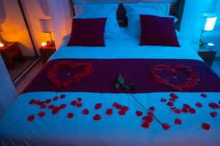 Suite romantique La Maison de Flora SPA intérieur, jardin et lit King size - 5