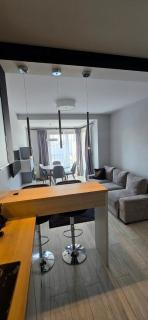 Delux Apartmets next to the river - 0