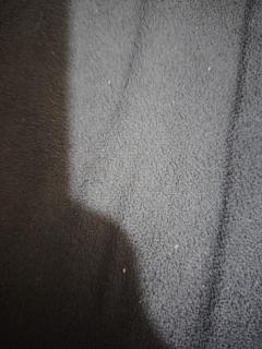 RUM AlLIRA lUXURY CAMP - 5