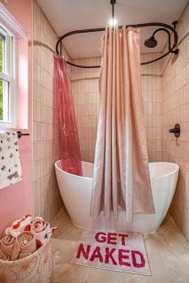 Unique Barbie-Themed Pink Cabin in Black Mountain, North Carolina - 8