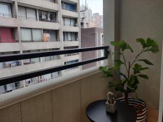 Relax and Enjoy the Best of Stgo Centro - 8