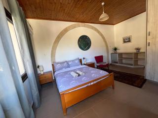 House on a Hill with Stunning Views near Troodos - 2