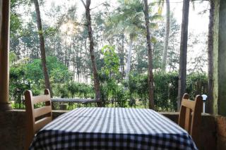 Arthunkal Beach villa Marari - 9