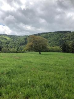 Maison sur le chemin de compostelle - 3