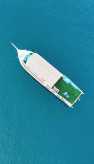 Musandam Starlight Dhow Cruise - 8