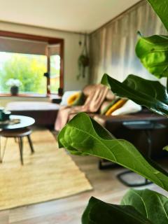 Rustiek bos chalet Sven - 5