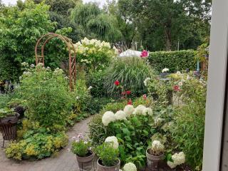 Drenthse-Groninger landschap - 7