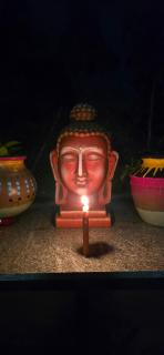 WoodPacker Hostel Pondicherry - 5