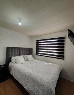 Habitaciones en Curico - 4