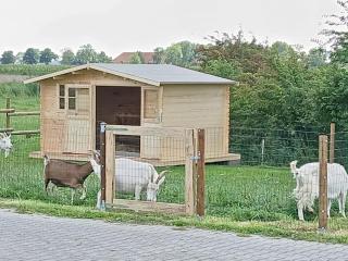 Ferien- und Pferdehof Egelkraut "Feriendomizil am Meer" - 1