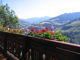 Romantisches Bauernhaus Höhe für 61 Erw 2 Kinder - 5