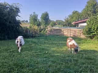 Ferien- und Pferdehof Egelkraut "Feriendomizil am Meer" - 9