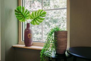 The Kievit - In the middle of nature! - 3