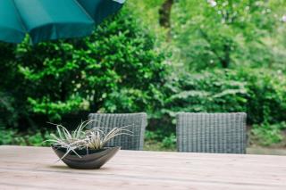 The Kievit - In the middle of nature! - 7