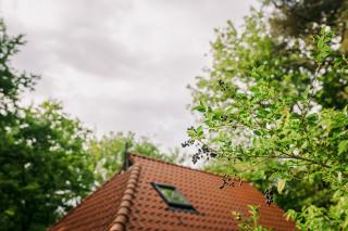 The Kievit - In the middle of nature! - 4