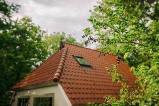 The Kievit - In the middle of nature! - 5