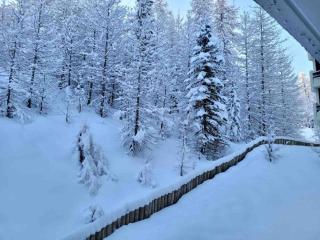 Très beau studio pieds des pistes tout rénové - 9