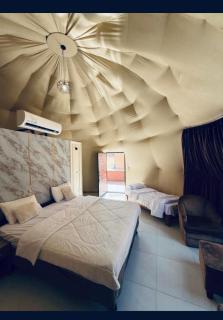 Wadi Rum Desert Life - 9