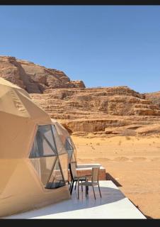 Wadi Rum Desert Life - 2