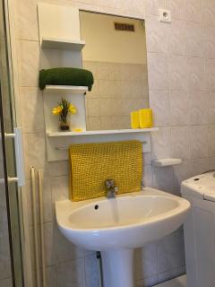 Studio miroir-arrivée autonome-animal ok - 1