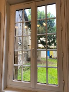 Studio miroir-arrivée autonome-animal ok - 2