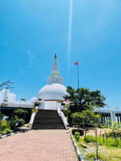 Geeth Wild Resort - 5