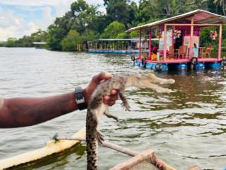 Geeth Wild Resort - 4