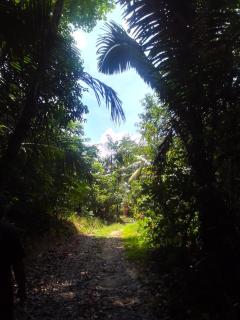 Sítio do guerreiro - 9