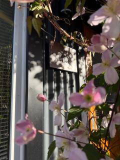 Modern Cabin near Lago Gutiérrez - Roble - 9