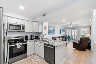 Pelicans Watch 209 - Myrtle Beach - 9