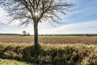 Whg 3 - Ferien auf einem Resthof - 3