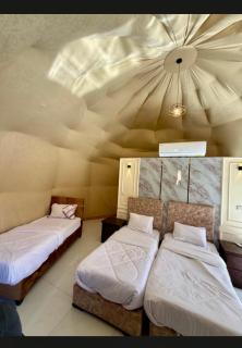 Wadi Rum Desert Life - 2