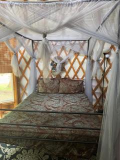 Pet-Friendly Yurt Getaway on the Shenandoah River in Luray, Virginia - 2