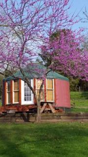 Pet-Friendly Yurt Getaway on the Shenandoah River in Luray, Virginia - 5