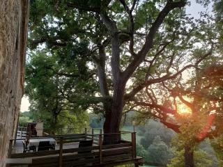 Gite De Caractère En Pleine Nature - 7