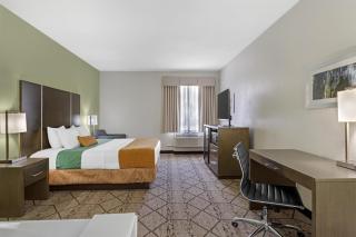 Best Western Plus North Houston Inn & Suites - 8