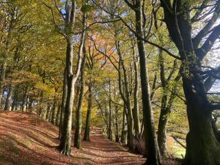 Top Riley Holiday Cottages - 1