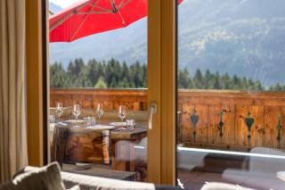 Nationalpark Chalet Gamsmutter - Neukirchen am Grossvenediger - 6