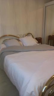 25 Rue Raymond Braillard - 6